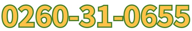 0260310655