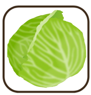 キャベツ